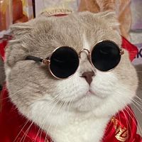 เสียงต้นฉบับ - casper.meowauan