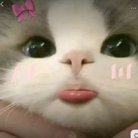 เสียงต้นฉบับ - จีวรบิน