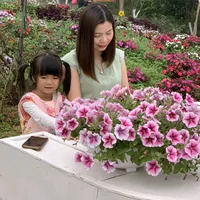 original sound - thoitrangbigsizehanhien