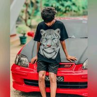 teddy3379
