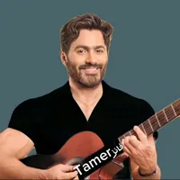 original sound - fanstamer1
