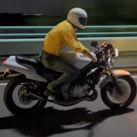 hyp81_9brr