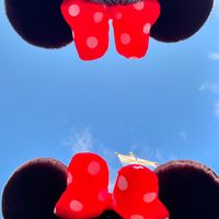 ディズニー