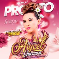 arycelguevara1