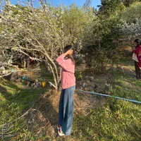 original sound - userh37ramq8yi