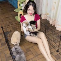 poppy.pet.house4