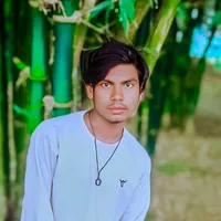 original sound - birju_dancer05