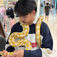 _noppakrit_
