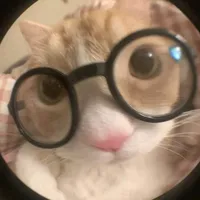 original sound - keepdriving_kate