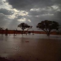 الصوت الأصلي