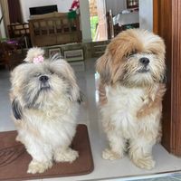 bhumiandprince