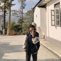lplian31
