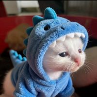 original sound - Nasi lemak ✅