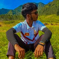 diron220