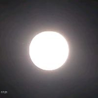 suara asli - Ayah_Hebat