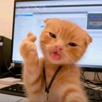 suara asli - etrisa ardella