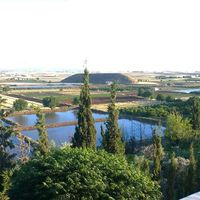 الصوت الأصلي