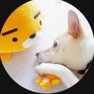 オリジナル楽曲 - EMIRIKA