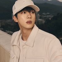 .seokjin_wife