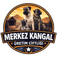 merkezkangaluretim