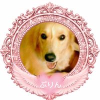 オリジナル楽曲 - ⛩️プリン👑👑🐶