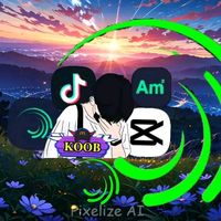 koob.hmoob.100.m