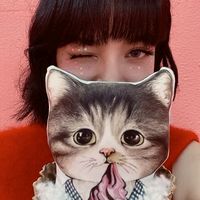 .catsdalalisa