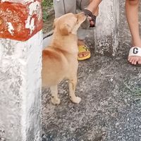 nhạc nền - lphuoc2k5