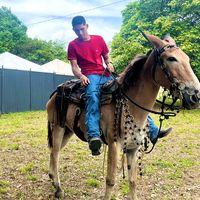 matheus.0365