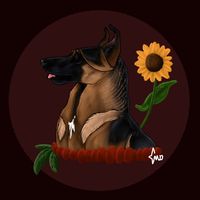 those.canadian.essas