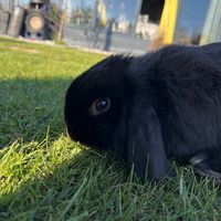 hera_spam6