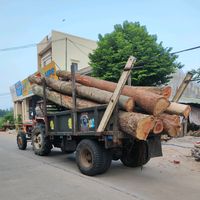 nhạc nền - #(tí) Tấn Thành 76*** 25/12/03