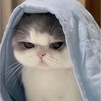 オリジナル楽曲 - ぽんず/🐈‍⬛🩵⛅️