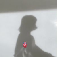 _jzo.s