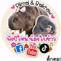 wwwpimai