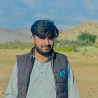 baqir8004