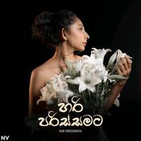 Me palu Katharedi ma thani wela. Cover by NV