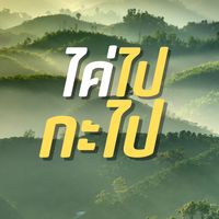 phayao.omg