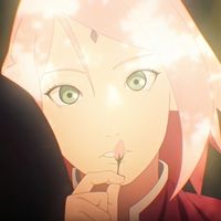 cherrysaaku_