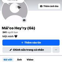 maico.heyry
