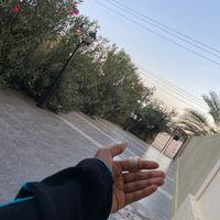 nafsada
