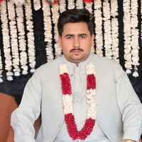 ali786634