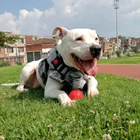 original sound - aleja9757