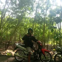 original sound - mass_r110