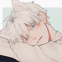 miau2768