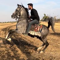 ahmadbakr68