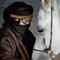 الصوت الأصلي