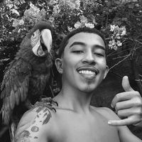 apns_kdu