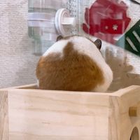 オリジナル楽曲 - なな🩵💤