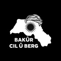 orijinal ses